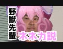 野獣先輩 ネネカ説