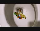 M&M'sとバナナをトイレに流してみた