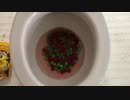 ピーナッツ味のM&M'sをトイレに流してみた３