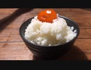 ご飯に一番合うの結局君の醤油漬け説