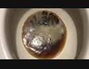 トイレでメントスコーラをやってみた１