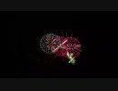2019.12.21 （愛知）ISOGAI花火劇場in名古屋港 ①