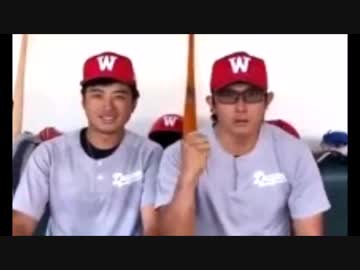 【MLB】2019年メジャーリーグ珍プレー集（総集編）