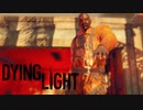 【実況】へっぽこ忍者がいく！ゾンビがはびこる都市を生き残れ！【ダイイングライト-Dying Light-】＃4