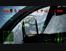 Ace Combat 7 Multiplayer539 バトルロイヤル Su-34 + HCAA
