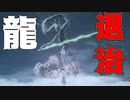 #22【隻狼】睡眠時間を削ってやりまくった社会人の隻狼【ハラショー】