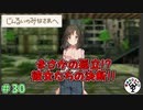 廃墟のアキバで百合百合したい　「じんるいのみなさまへ」　＃30