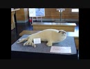 2016　北海道旅行7 ノロッコで網走へ