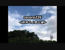 cocoro226特別な上質な種