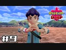 【実況】絶対チャンピオンになってやる！ Part9【ポケットモンスター シールド】