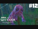 #12【アクション】最弱ウィッチャーでも他人のために戦える。【The Witcher 3：デスマーチ】