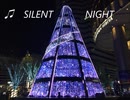 ♫SILENT NIGHT　英語で歌ってみました。。。（　きよしこの夜　）