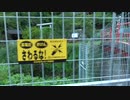 低級家具日記　第157日目その2
