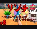 【初見が目指すは怪獣軍団】ポケットモンスターソード・シールドpart8【24歳フリーター】