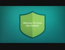 COSTA KEY - RESIDENTIAL & COMMERCIAL METAL FENCE SARASOTA, FL