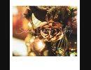 Shiny Smily Story / Xmas inst.