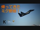 Ace Combat 7 Multiplayer540 バトルロイヤル MiG-29A + HPAA