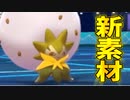 【実況】ポケモン剣盾でたわむれる サポートの神 新素材「ワタシラガクッション」