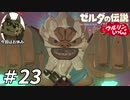 【実況】ウルリンといっしょ＃23｢マグマよりもアツい漢｣【BotW】