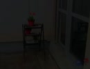 夜中に植木鉢を割られるおじさん