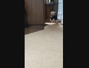 なぜそれをチョイスした？part１