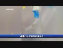 点滴の中に虫が