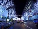 2019東京都心クリスマスイルミネーション(バイク車載動画)