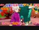 part21 ビート選手、アウトぉ！「ポケットモンスター ソード・シールド」縛り実況 初投稿