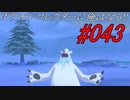 ポケモンコレクターに俺はなる‼#043