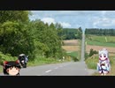 【東北イタコ車載】 2019 夏 北海道ツーリング Part21
