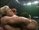 ディーン・マレンコ VS ブライアン・ピルマン 96年1月22日 WCW