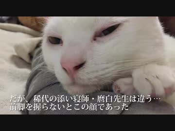 ウチューネコチャン、手を繋いで甘える