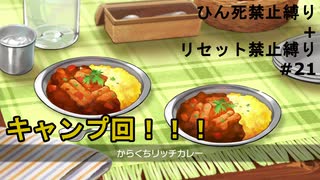 【ポケモンシールド】誰も死なせない男、キャンプ回ふたたび【ひんし、リセット縛り】#21