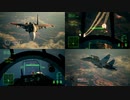 Ace Combat 7 Multiplayer542 バトルロイヤル Su-30SM + 6AAM