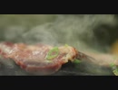 60日熟成神戸牛の焼肉