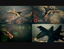Ace Combat 7 Multiplayer544 バトルロイヤル Rafale + HCAA