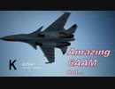 Ace Combat 7 Multiplayer545 チームデスマッチ Su-30SM + 6AAM