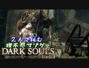 【２人実況】理不尽マゾゲーDARK SOULS【#3】