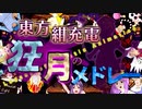【チャー研合作】東方紺充電 狂月のメドレー ～Legacy of Lunatic Animation～