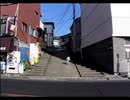 【トロと休日】休日にネコと和解するプレイ（実況付き）　その2