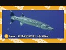 【ポケモン剣盾】水族館パでワイワイバトル：１【シングルカジュアル】