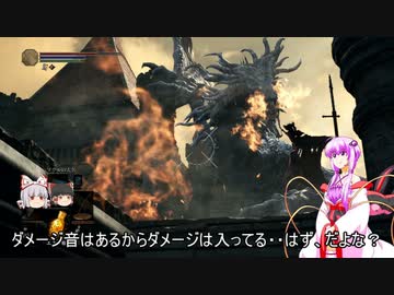 素直で温厚なゆかりさんのダークソウル３　PRT１１