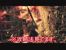 初見で死にまくる【ダークソウル２】part21