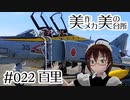 【ファントム最後の航空祭】百里 [#022]