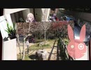 【車載】SUNNYDAYDRIVER RABBIT part42【VOICEROID & CeVIO 劇場】