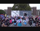 【京大学祭】かぐや様は踊らせたい～オタクたちのニコニコダンステラミックス～【令和最初】 4/4