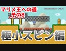 【マリオメーカー2】これは極小スピンなのか。。？【マリメ王への道#8】