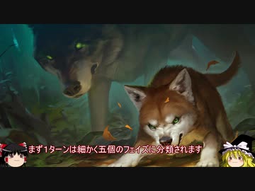 ゆっくり学ぶMtGアリーナ「勝利条件とターンの進行」