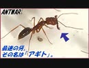 生物界最速の牙を持つアギトアリ【新蟻導入】