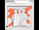 洋楽を高音質で聴いてみよう【1358】Lucas&Steve 『Perfect』
